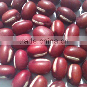 Adzuki Bean for Bean Paste(2010 crop ,Heilongjiang origin, Hps, Polished)