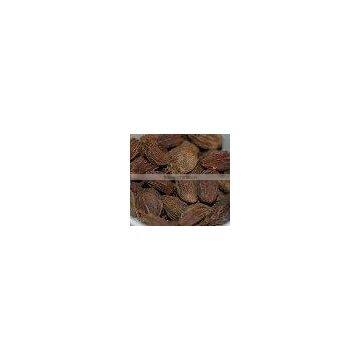 Large Cardamom