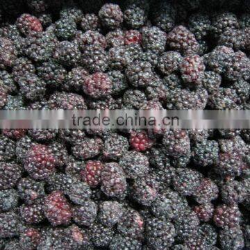 frozen black berry