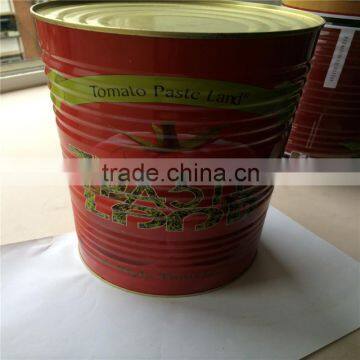 400g XINJIANG Quality Canned Tomato Paste