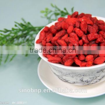 Bnp Supply High quality Wolfberry Goji Berry Juice Powder