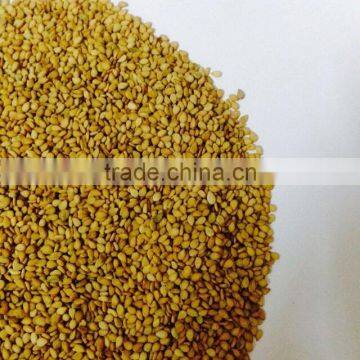 GOLDEN SESAME SEEDS