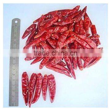 Hot red chilli Global Foods