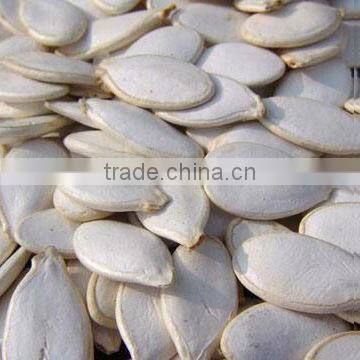 snow white pumpkin seeds