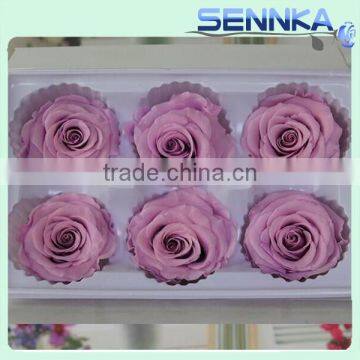 Natural Preserved Fresh Flowers Preserved Roses Wholesale photo-6