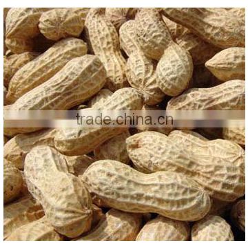 Raw peanuts inshell,best price