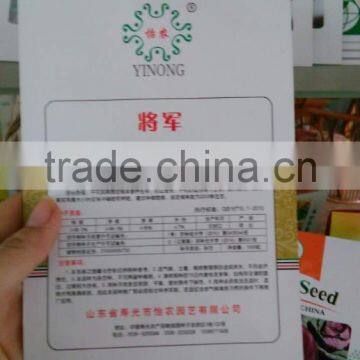Tomato Seeds Red Tomato Seeds Anti TY General F1 photo-3