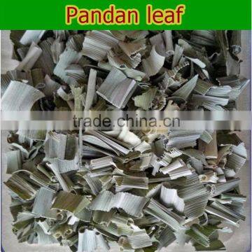 Thailand pandan leaf for sale