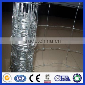 wholedale hinge joint sheep and goat fence/farm fence iron wire fencing (Deming factory, ISO900 certificate)