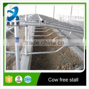 Hot dipped galvanized Free Stall Cow Barns