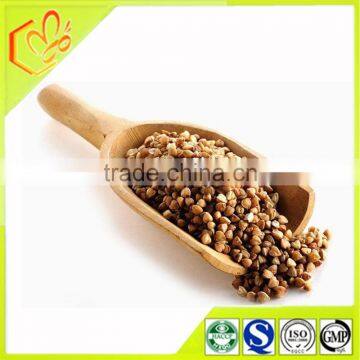 Wholesale high protein buckwheat pollen