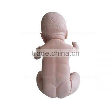 Human Body Biological Baby Model Teaching Baby Doll photo-3