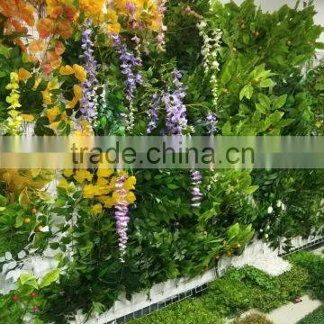 Green Decorative Plants photo-5