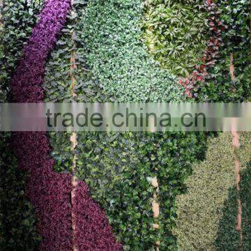 Artificial Grass Wall China Factory (5X5.5m) Pattern Plant Wall photo-3