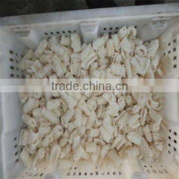best season giant squid cutting