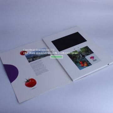 Видеоброшюра с высоким разрешением 800*480 photo-2