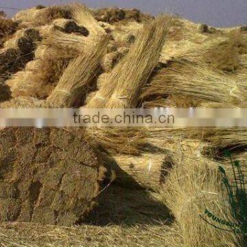 thatched reed