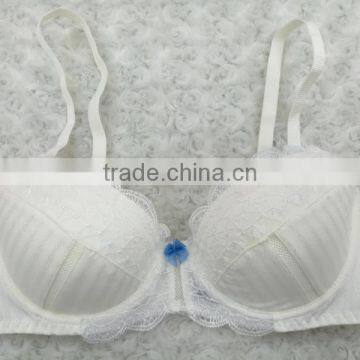 New Design Sexy Ladies Transparent White Embroidered Bra and Panty Set photo-2