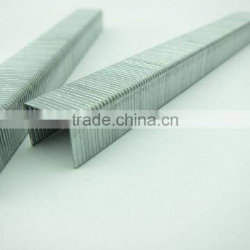 21GA 8008 Galvanized Staple photo-2