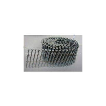 Pallet Coil Nail photo-2