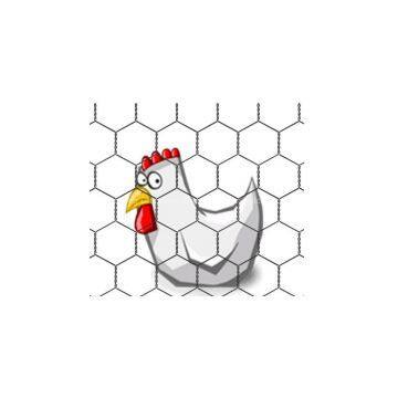 China supplier Cheap Galvanized Chicken wire netting