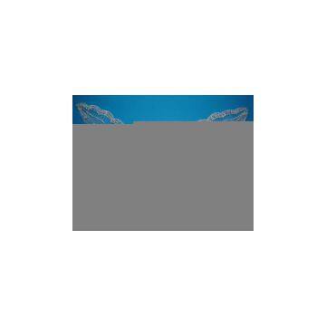 Sell Silver Silk Embroidery on Organza With Beads and Sequins(30029)