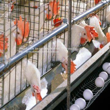 Customized Size PP Broiler Farm Manure Belt Automatic Cleaning Machine