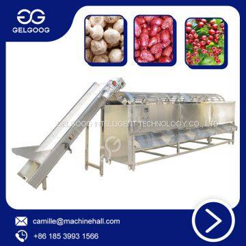 Rotary Trommel Separator Machine Vegetable Classifying Machine Reasonable Price