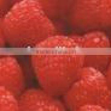 Raspberry extract