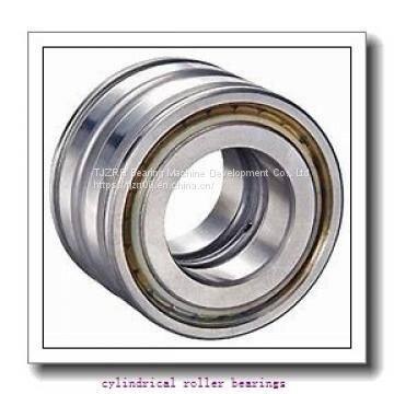 Fersa F19067 Cylindrical Roller Bearings photo-2