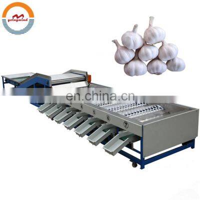 Automatic garlic size grading sorting machine auto industrial garlics sizing sorter and grader equipment cheap price for sale