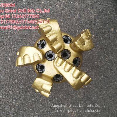 Steel body PDC Bit---8 1-2 GS1905M