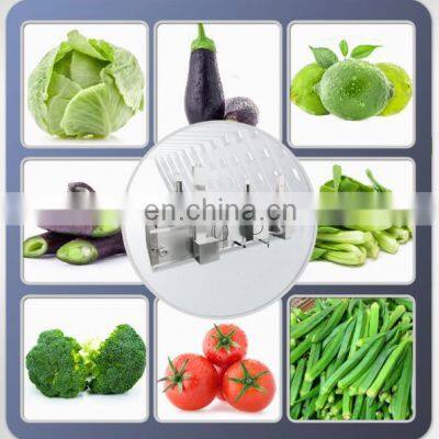 Multifunctional Bubble Cleaning Apple Avocado Mango Banana Fruit And Vegetable Washing Machine