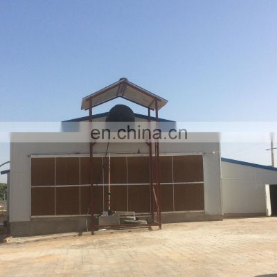 China economic design prefab steel structure open side poultry house type steel shed