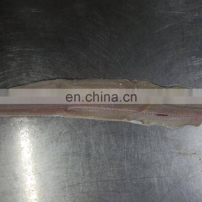 Eel Fillet Frozen Conger Eel Fish Fillet photo-4