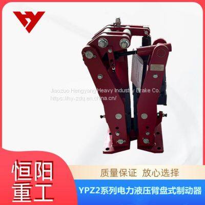 Hengyang Heavy Industry Electric Hydraulic Arm Disk Brake YPZ2 | -500/201 is Easy to Replace photo-4