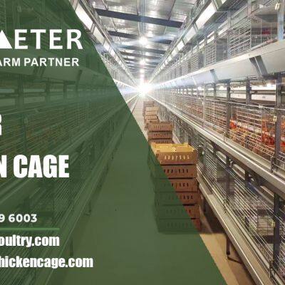 A Type H Type Chicken Layer Cage photo-5