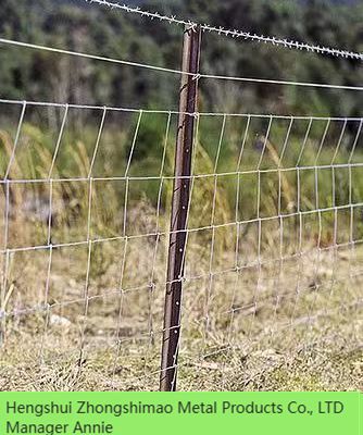 Grassland Fence/field fence/ cattle fence/annimal fence/sheep fence/ wire mesh fence