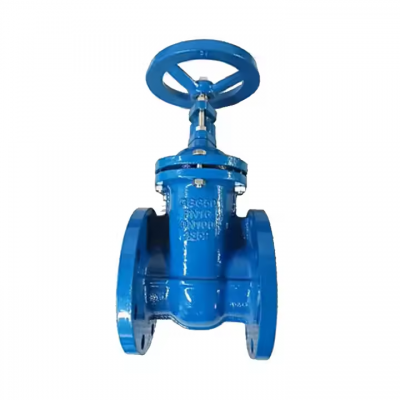 DIN Gate Valve OS&Y Rising Stem Cast Iron Ductile Iron Gate Valve With Epoxy Coated Ggg50 GG25 photo-5