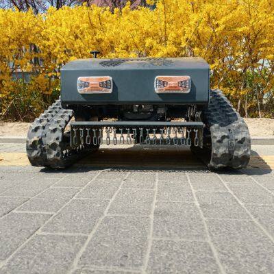 Safe Efficient Slope Rough Terrain Mowing the Cutting Width Is 550 Millimeters Grass Cutting Machine Vigorun