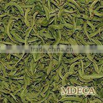 Lemon verbena dry leaf