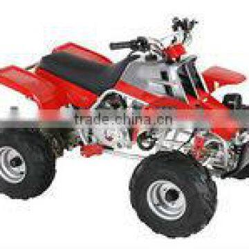 110cc ATV with New Automatic