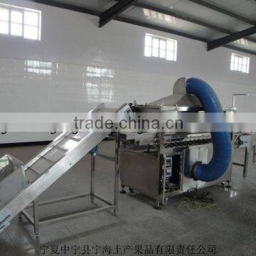 Organic Chinese Ningxia Goji photo-3