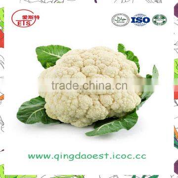 Harvest for sale in Competitive Price Chinese Fresh Cauliflowers