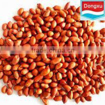 bulk raw red peanut kernels