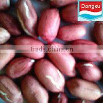 red skin peanuts