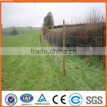 Anping factory Best price cattle galvanized field fence(Factory Price ISO9001-2008)