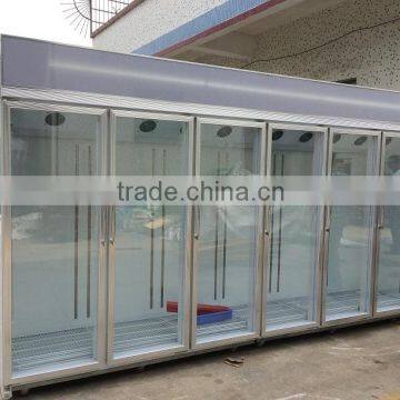 Convenience Store Commercial Glass Door Freezer For Fruit Using 2-8 Degree Hight Quality Compressor