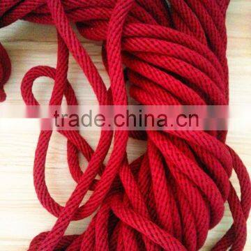 11mm Diameter 100 Percent Mercerized Cotton Leash Blue for Pet Accessory photo-3