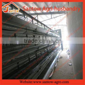 Stable Steel Structure Professional Chicken Egg Layer Cage Chicken Coop Plans for 12 Chickens photo-6